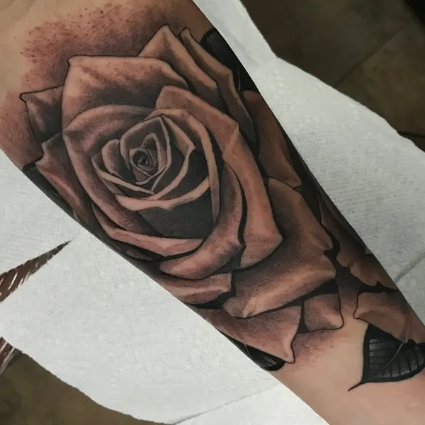 Flower, Rose