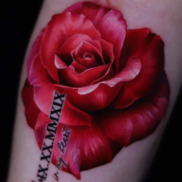 Flower, Rose