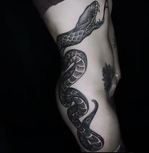 Dragon, Snake