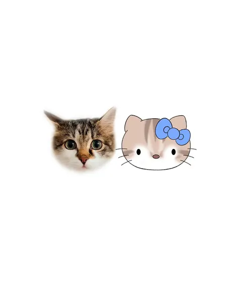 Mini, 마네키네코