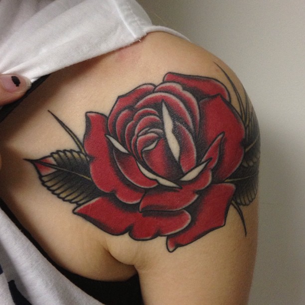 Flower, Rose, Nature