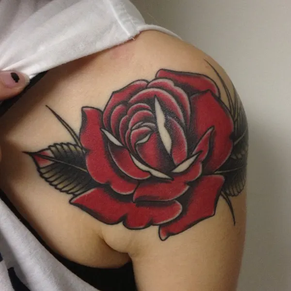 Flower, Rose, Nature