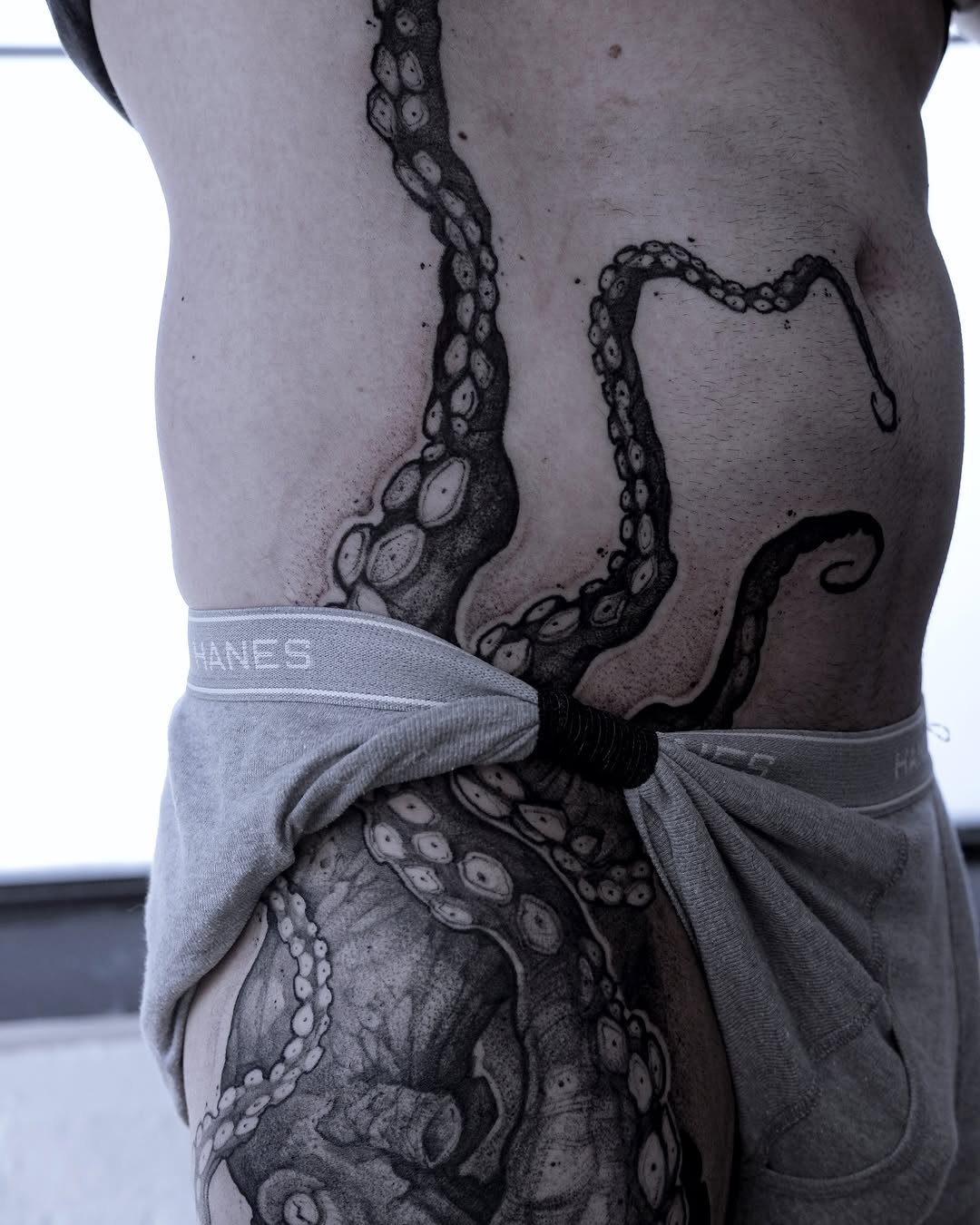 Animal, 문어