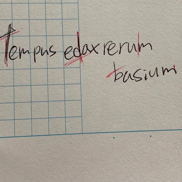 Lettering, 용기, 손글씨, 물망초