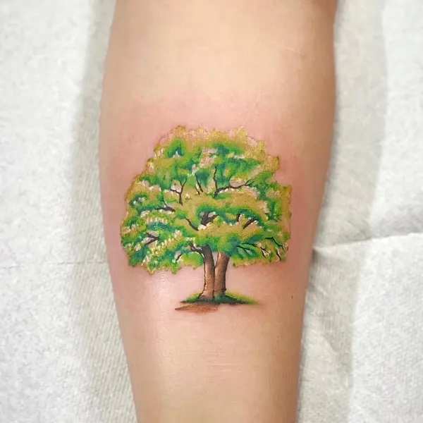 숲, Nature, 풀, 나무, 덩굴, 대나무, 소나무, 야자수, 올리브 가지