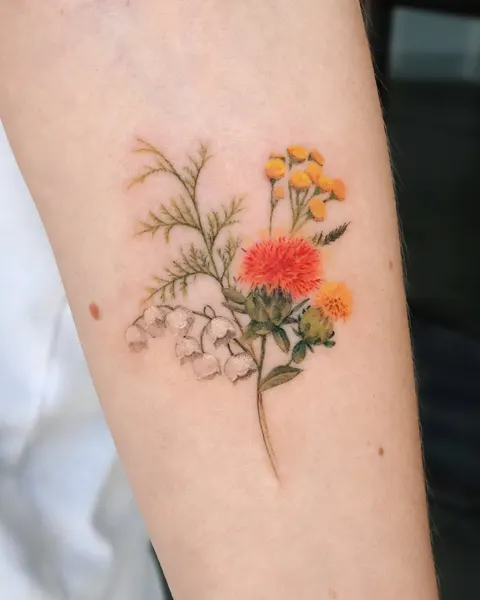 Flower, 라벤더, 허브