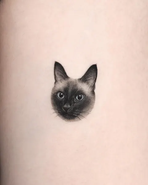 고양이