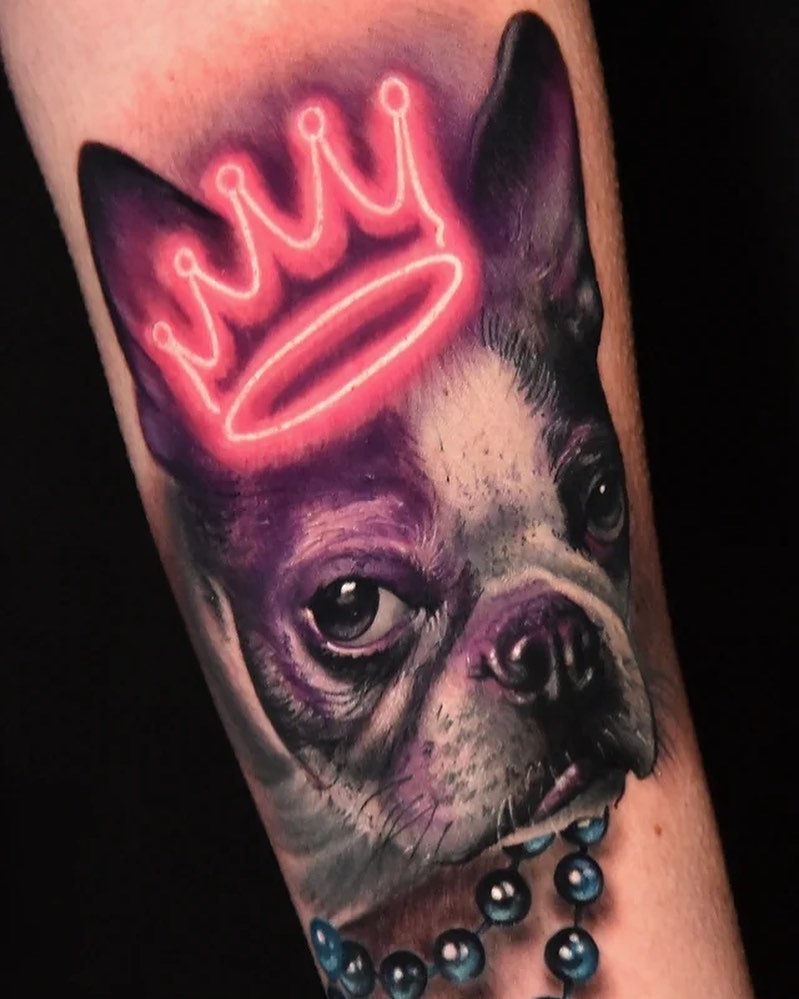 Animal