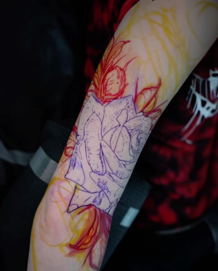 Flower, Rose, Nature