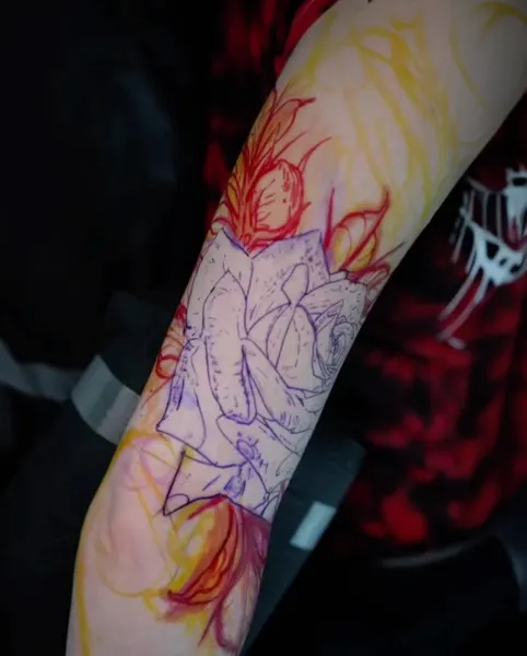Flower, Rose, Nature
