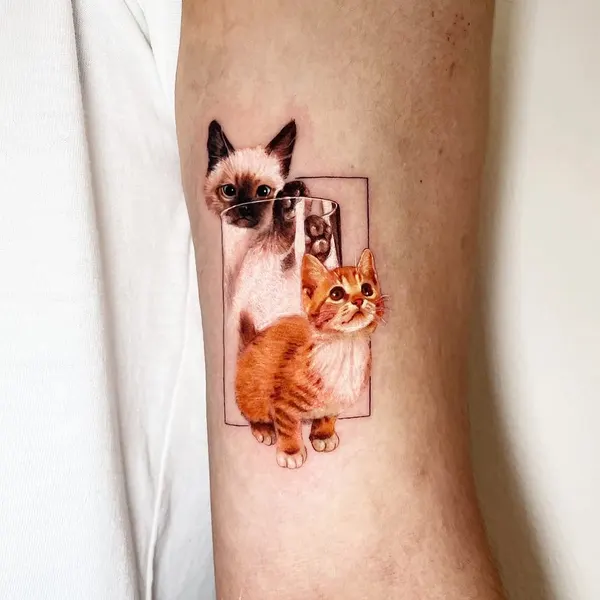 Animal