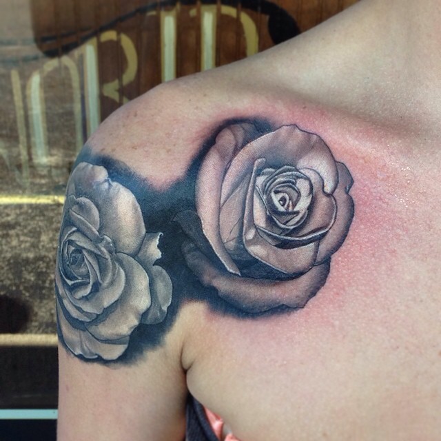 Flower, Rose, Nature