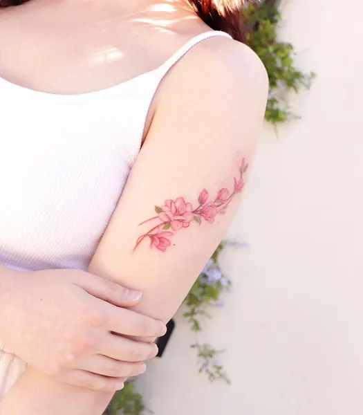 Flower, Rose, 백합