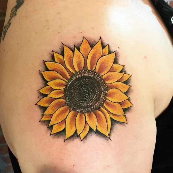 Flower, 해바라기