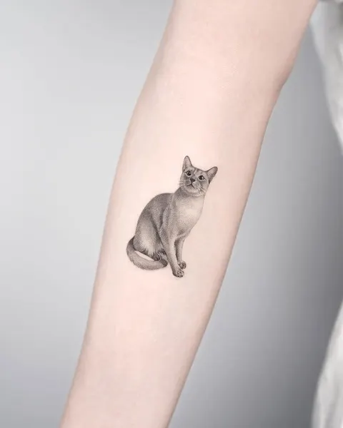 여우 가면, 고양이