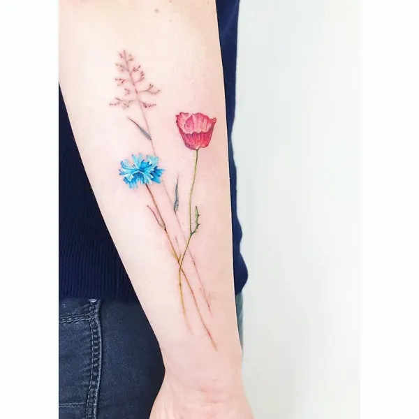 Flower, Rose