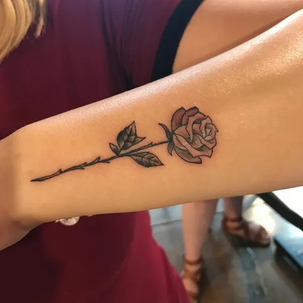 Flower, Rose