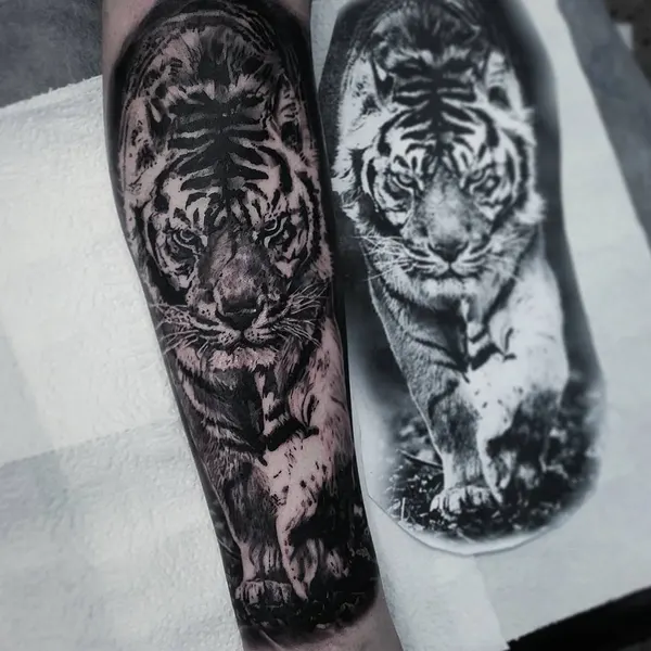 Tiger