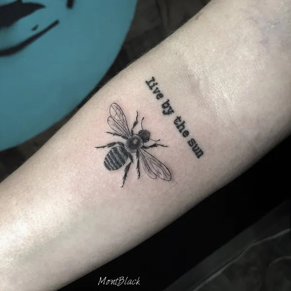 Animal, 거미, 게자리, 황소자리