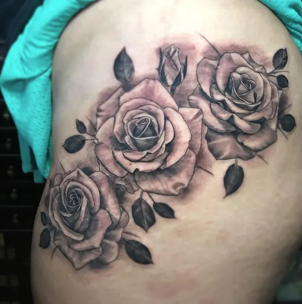 Flower, Rose, Nature