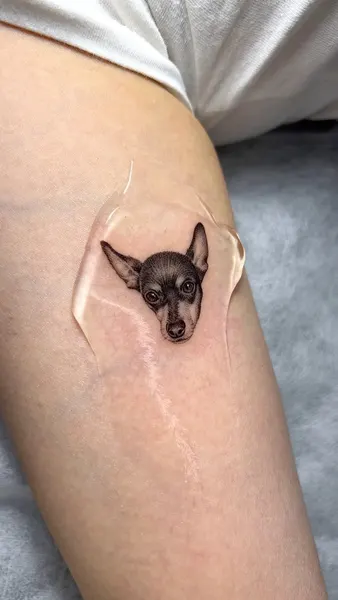 반려동물