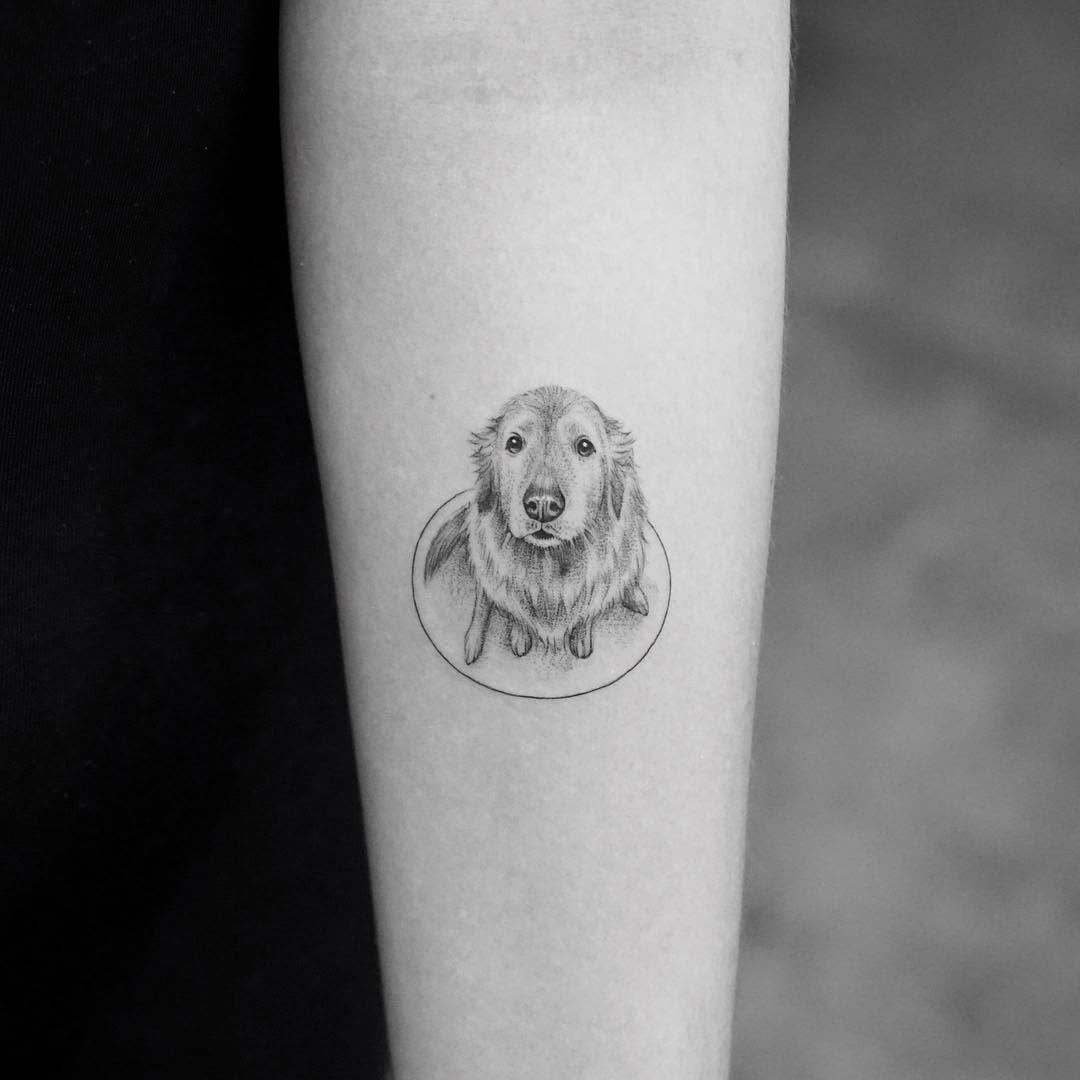 Animal, 충성, 반려동물 추모