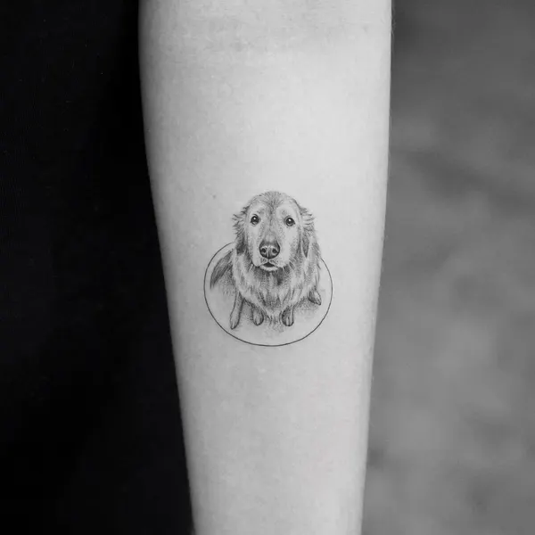 Animal, 충성, 반려동물 추모