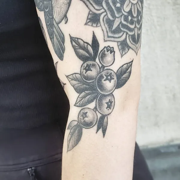 Flower, Rose, Nature