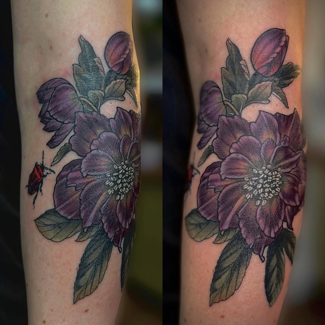 Flower, Rose