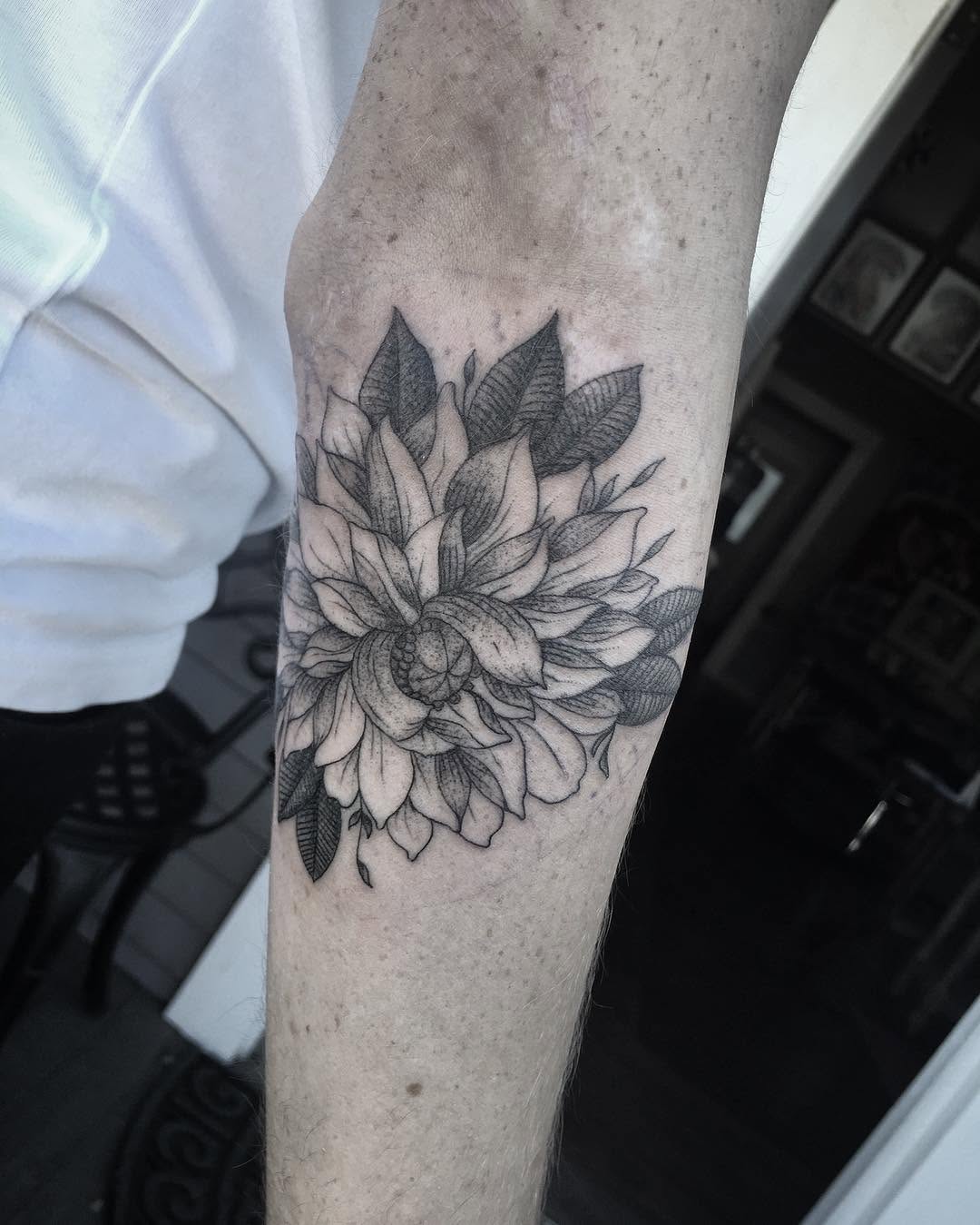 Flower, Rose, 목련, 국화