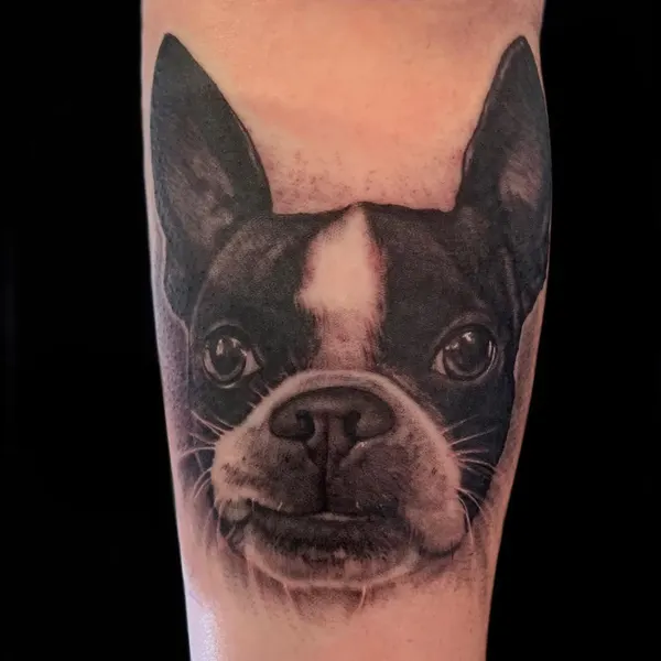 Animal