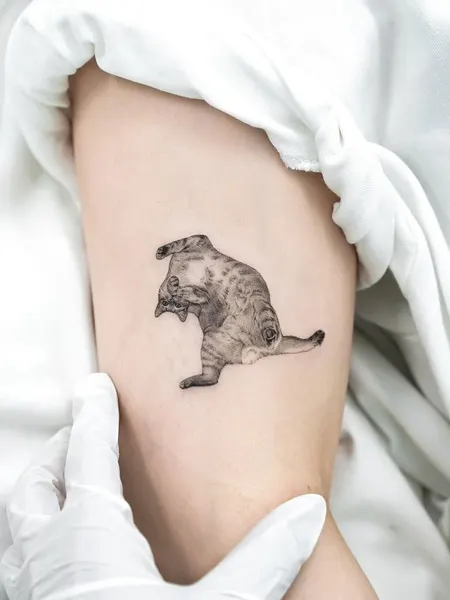 고양이