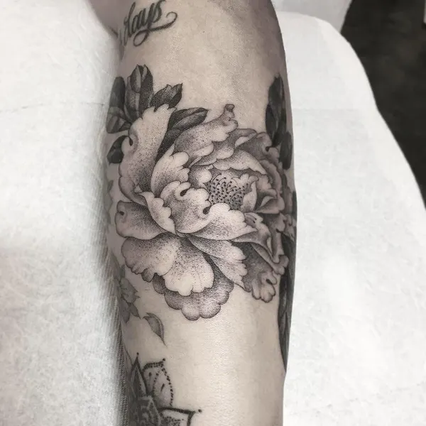 Rose, Flower, 꽃다발