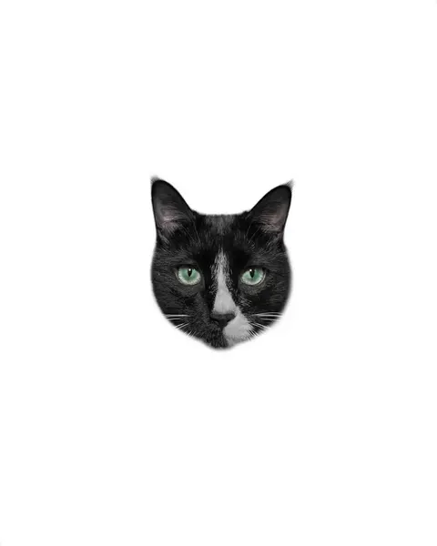 텐구, 고양이, 여우 가면, 마네키네코