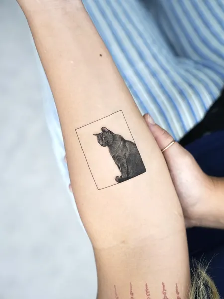 텐구, 함사, 여우 가면, 고양이, 반려동물, 마네키네코