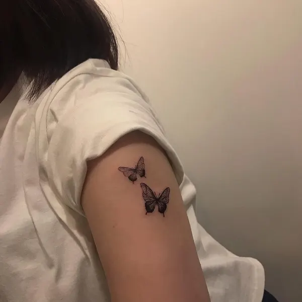 Animal, Nature, 염소자리