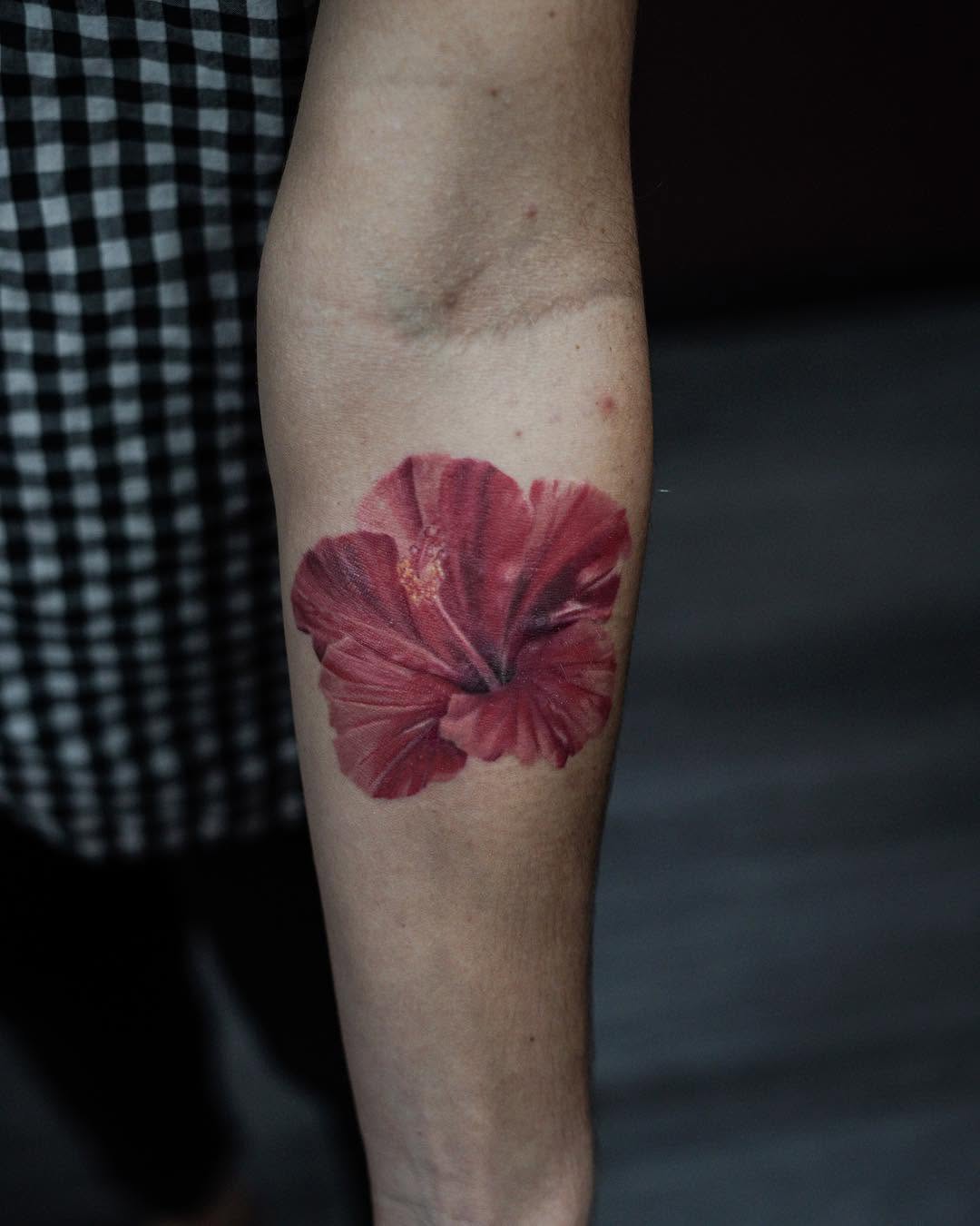 Flower, Nature, 모란, 목련, 잎, 튤립, 단풍잎, 양귀비, 은행잎, 히비스커스, 일본 단풍, 매화, 벚꽃, 포도, 오너멘탈