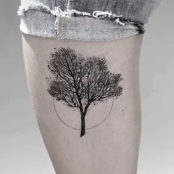 Nature, 나무