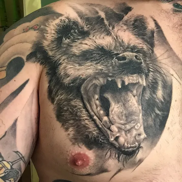 Animal, Tiger, 멧돼지