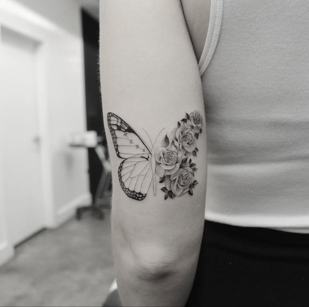 Animal, Nature, 나방