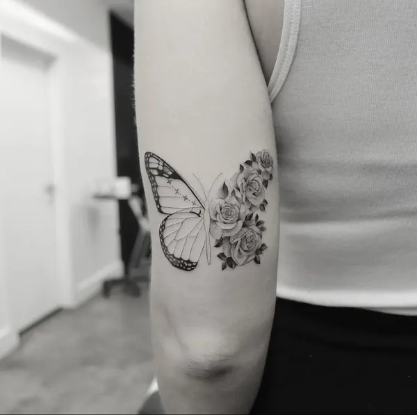 Animal, Nature, 나방