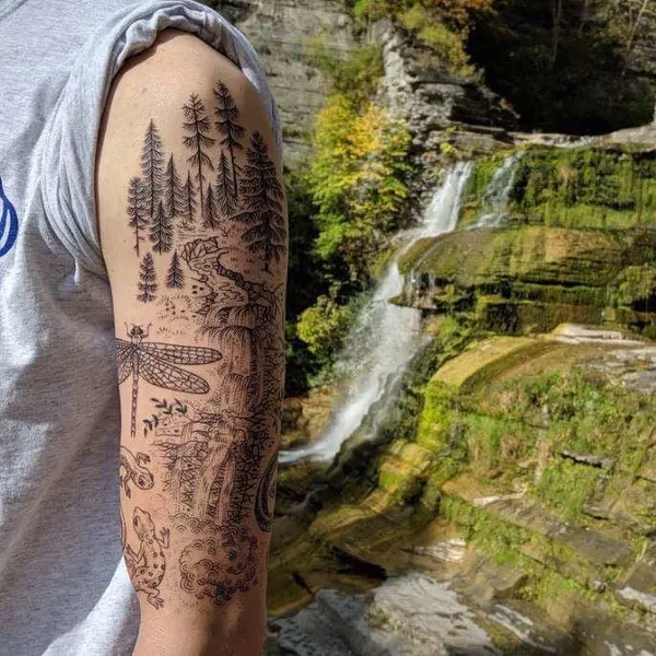 Animal, Nature