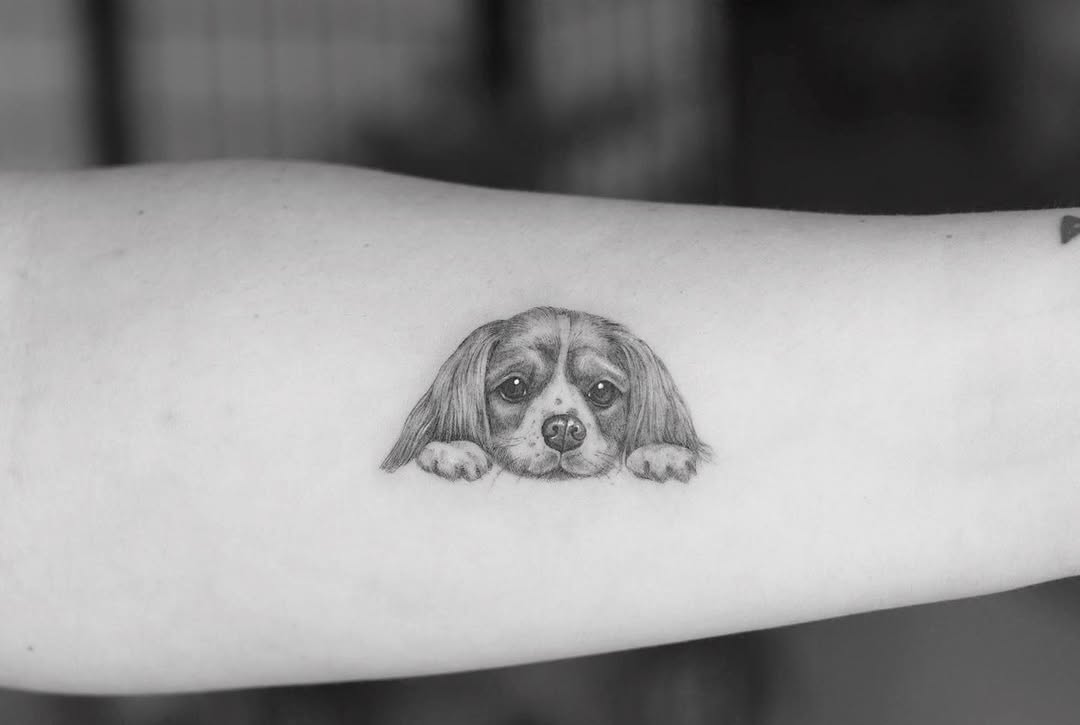 Animal, 반려동물, 반려동물 추모