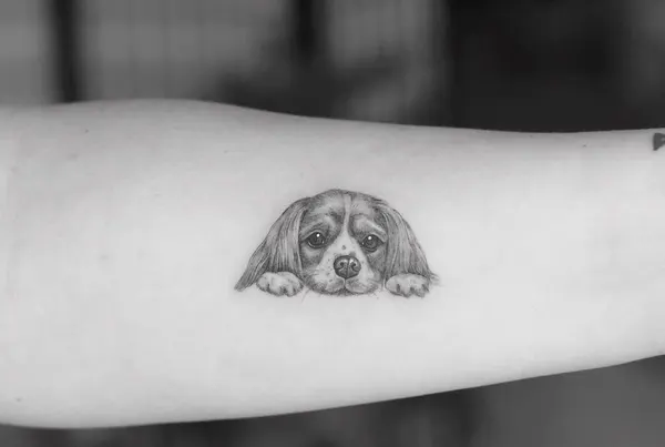 Animal, 반려동물, 반려동물 추모