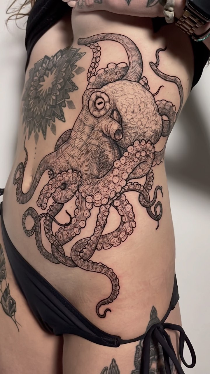 문어, Animal