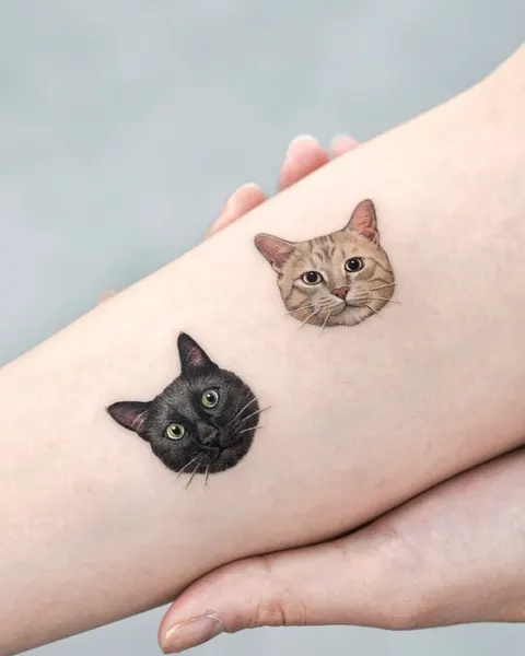 고양이