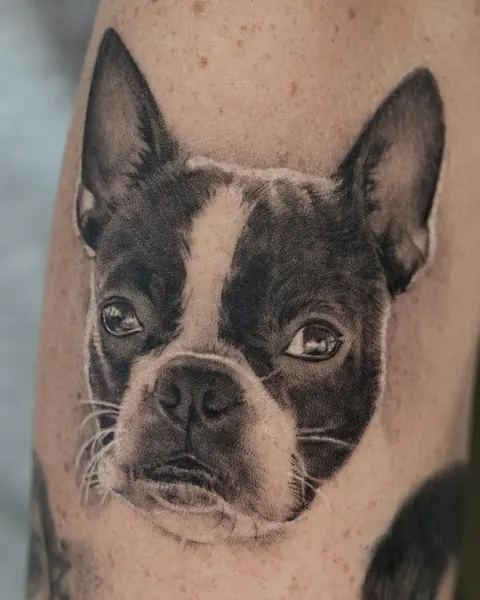 Animal