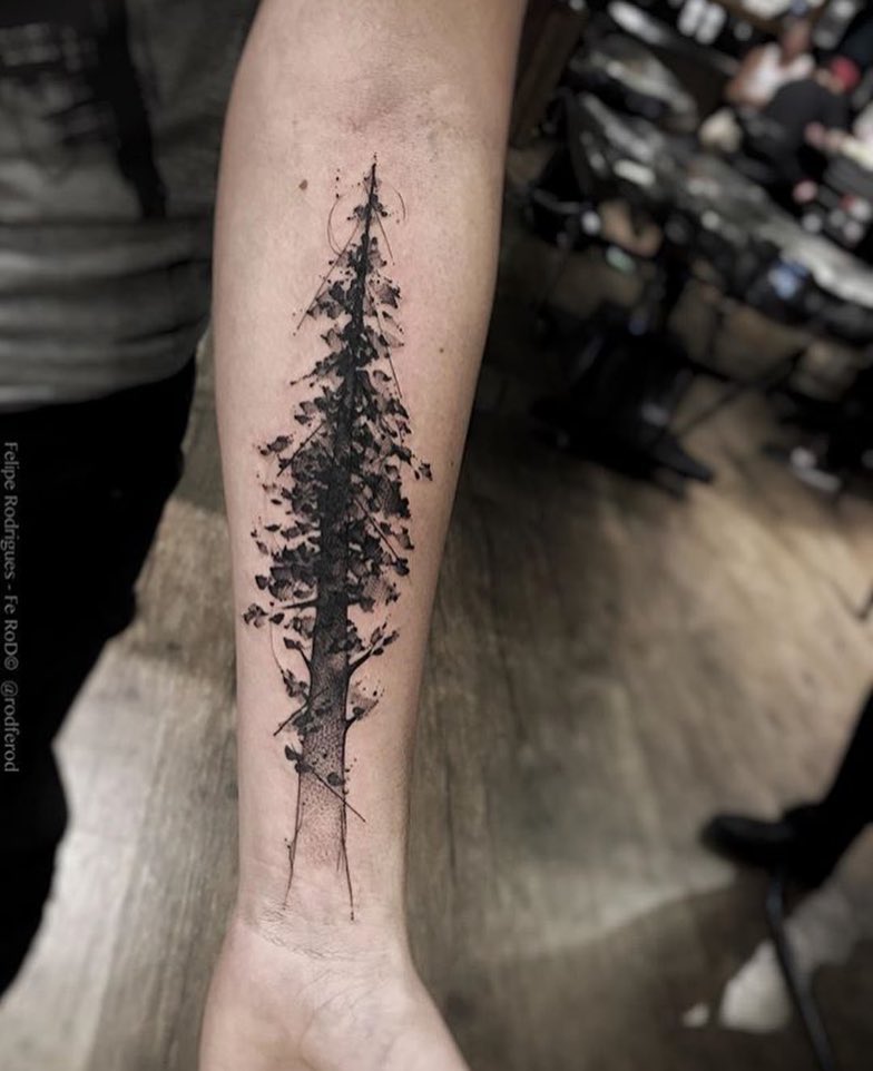 Nature, 번개, 숲, 소나무