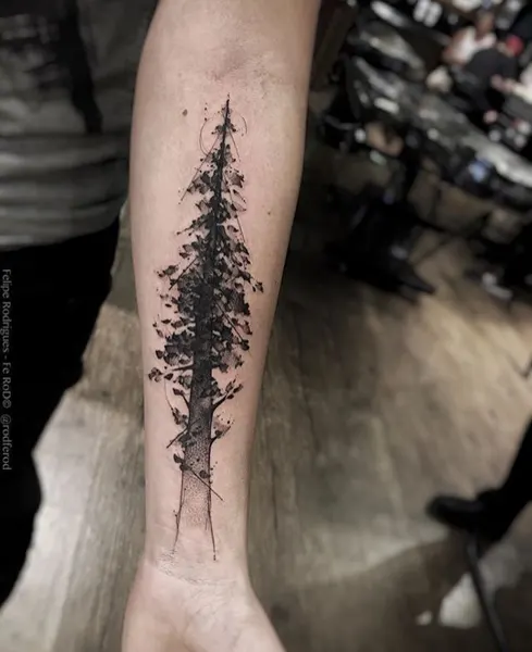 Nature, 번개, 숲, 소나무