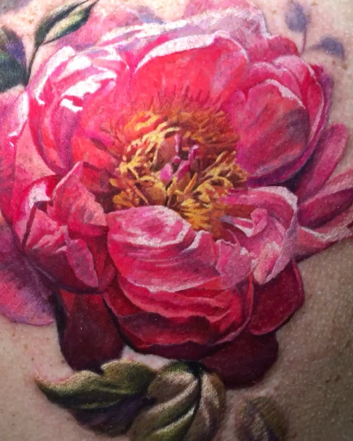 Flower, Rose